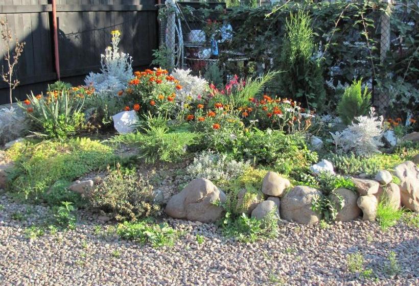 פנסיון Casa Toma