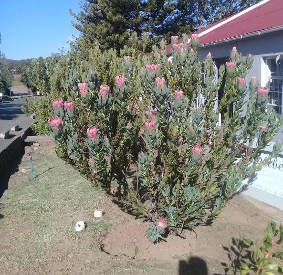 膳宿费 Swartberg Guest House