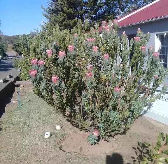 Majatalo Swartberg Guest House