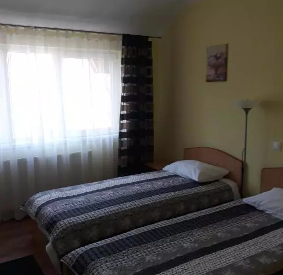 Pensiunea Ana