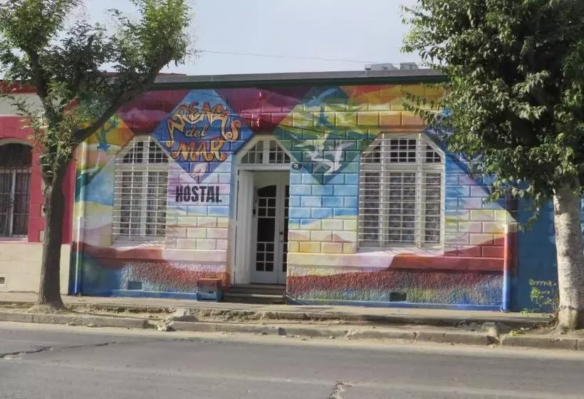 پانسیون Hostal Arenas Del Mar