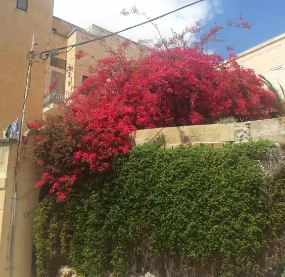 پانسیون Katalina House