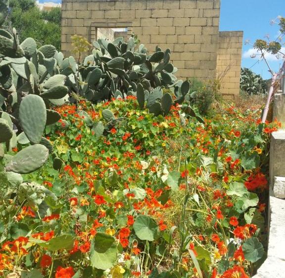 پانسیون Katalina House