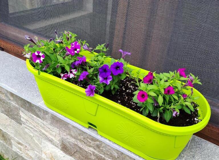 بنسيون къща за гости мурите