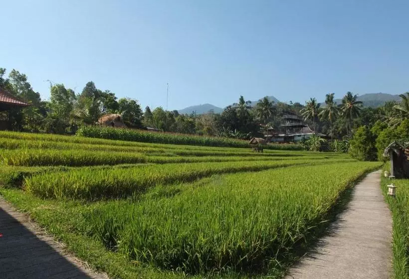 ユースホステル Uma Nirmala Aling Aling