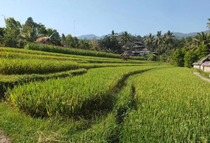 ユースホステル Uma Nirmala Aling Aling