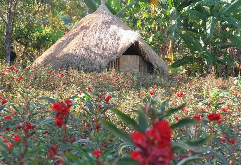 ユースホステル Uma Nirmala Aling Aling