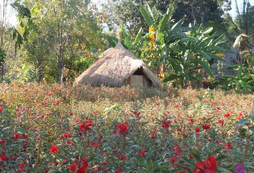 ユースホステル Uma Nirmala Aling Aling