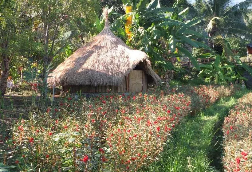 ユースホステル Uma Nirmala Aling Aling