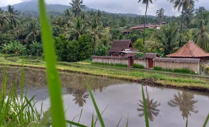 ユースホステル Uma Nirmala Aling Aling