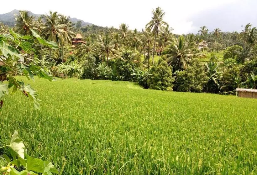 ユースホステル Uma Nirmala Aling Aling