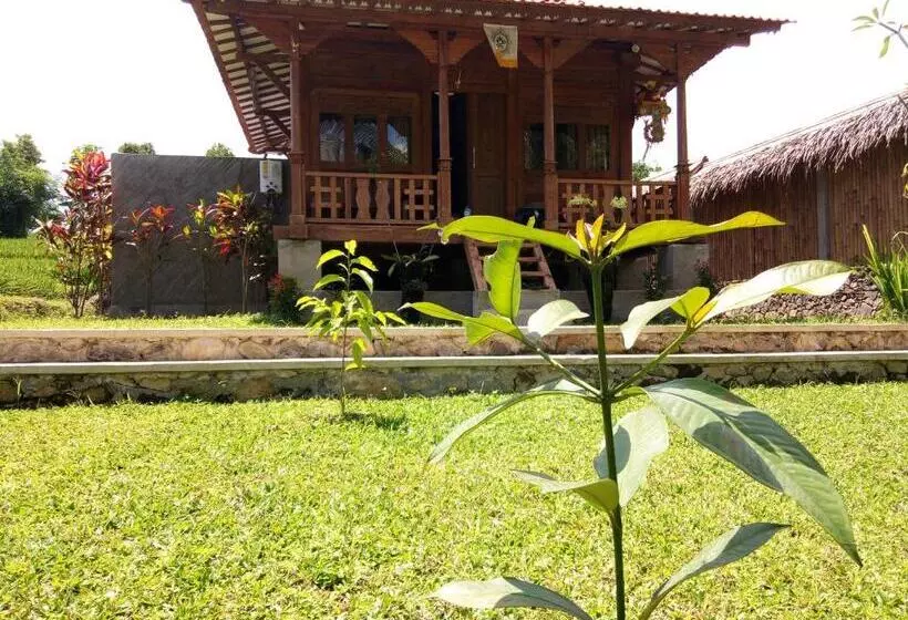 ユースホステル Uma Nirmala Aling Aling