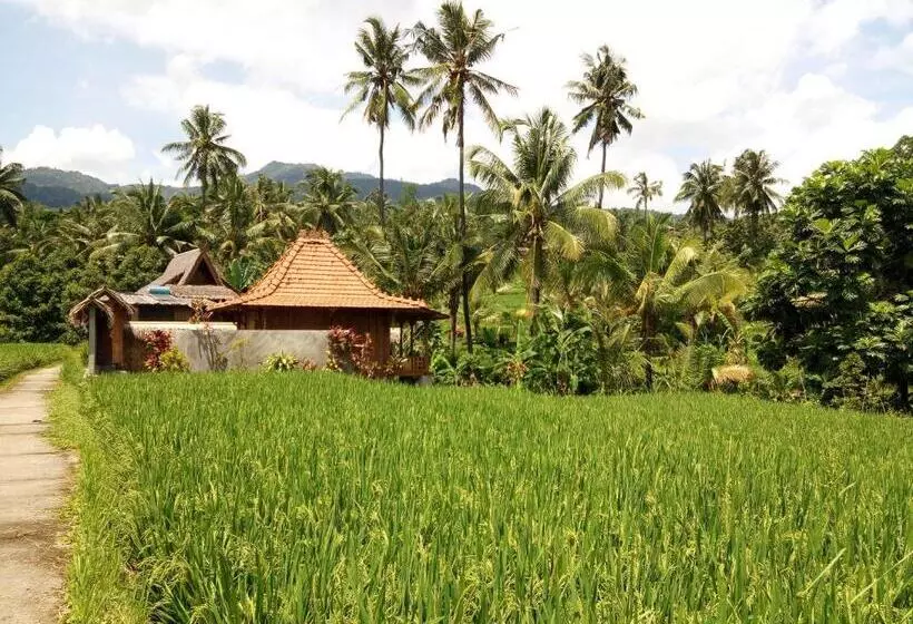 ユースホステル Uma Nirmala Aling Aling