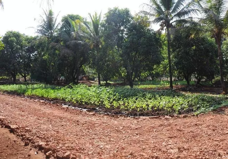 Hotelli Red Roof Farmhouse