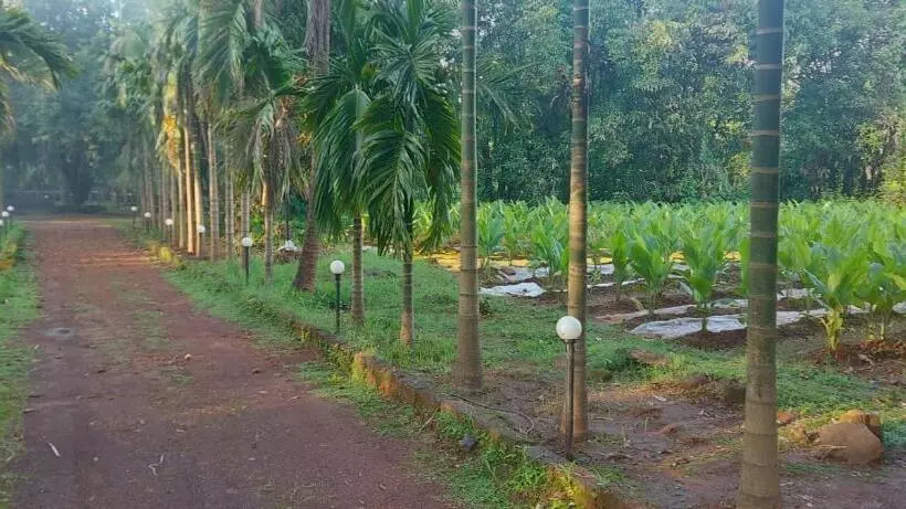 Hotelli Red Roof Farmhouse