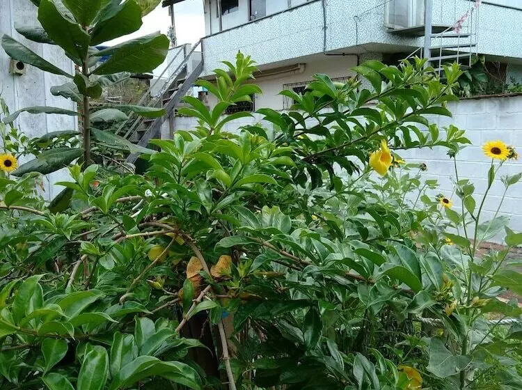 Majatalo Hospedagem Navegantes