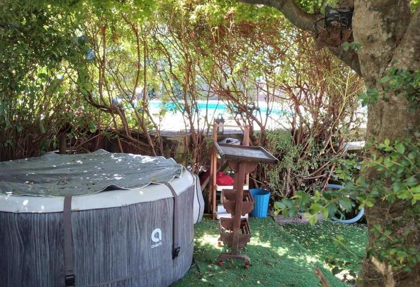 پانسیون Volcano & Lake Family Hostel