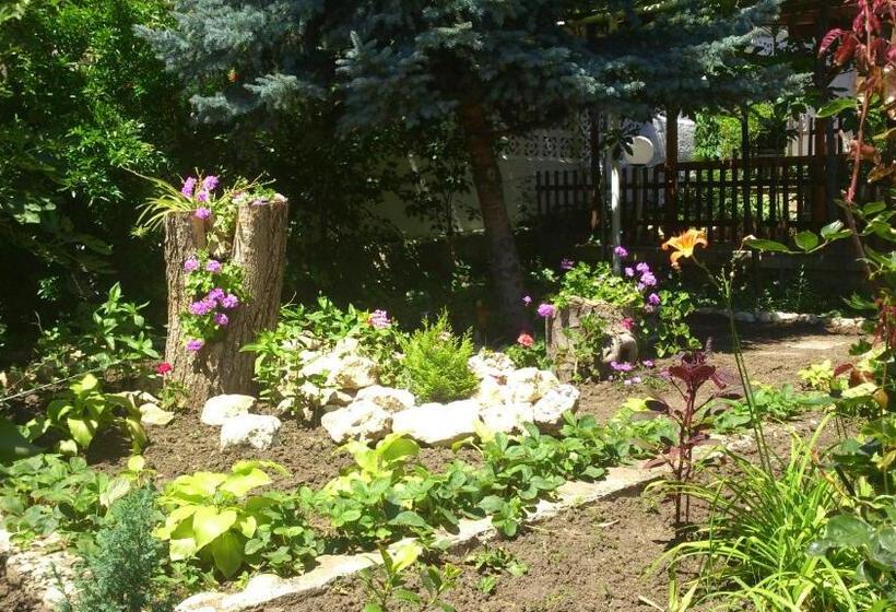 پانسیون Guest House Byki