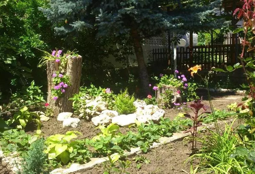 پانسیون Guest House Byki