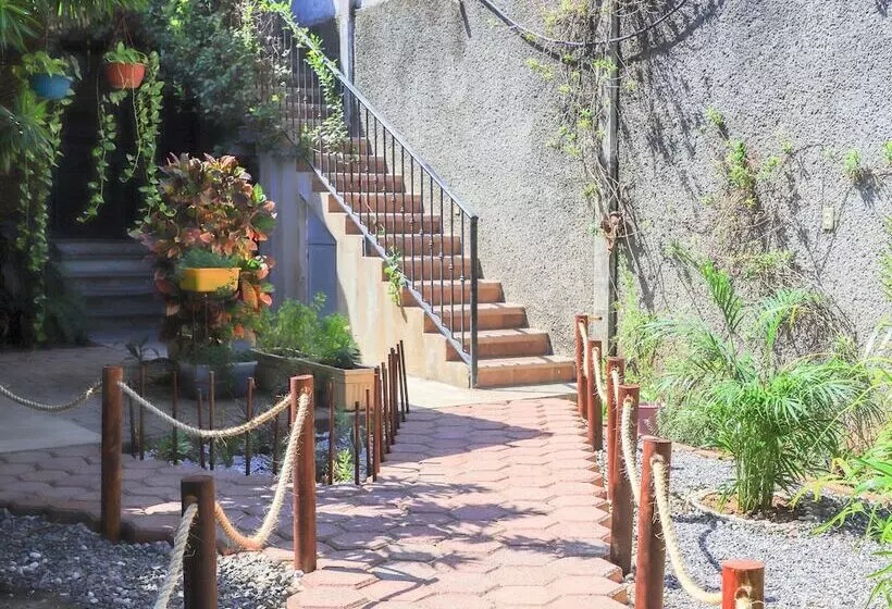 ペンション Bm Zihua Casa De Huéspedes