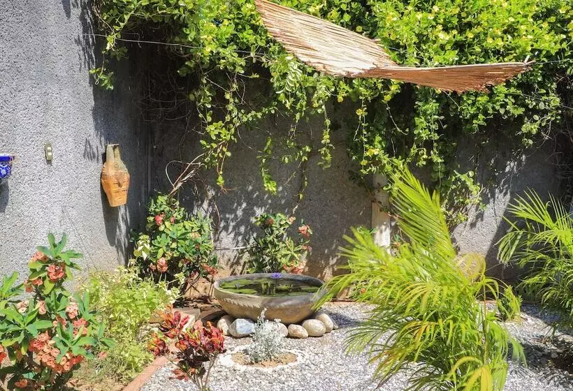 ペンション Bm Zihua Casa De Huéspedes