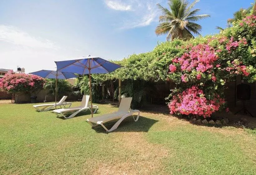 ペンション Bm Zihua Casa De Huéspedes