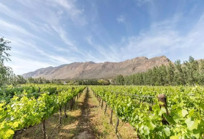 پانسیون Klein Nektar Wine & Olive Estate