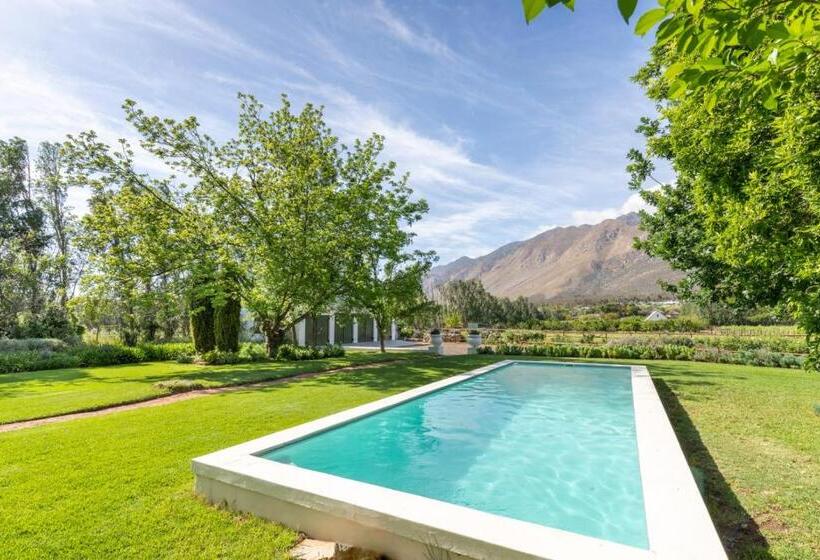 펜션 Klein Nektar Wine & Olive Estate