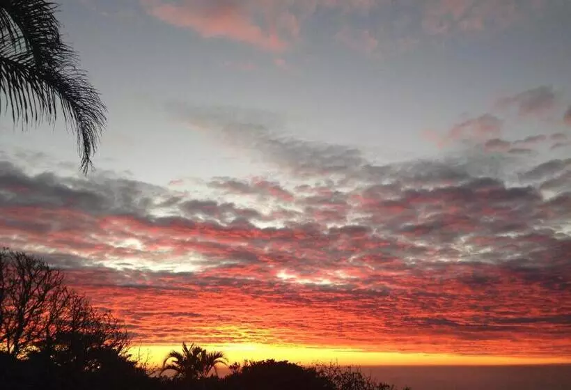 ペンション Albatros Guest House, Margate, South Africa