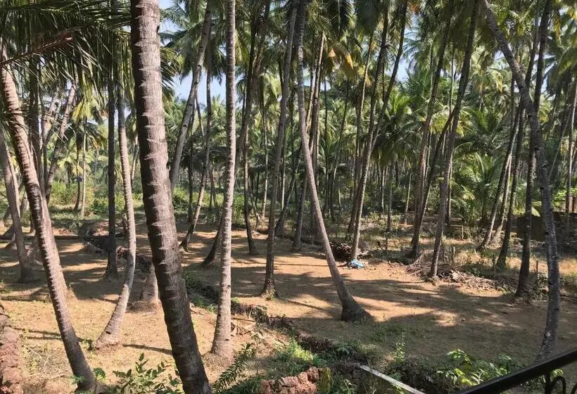 ペンション All Seasons Guest House