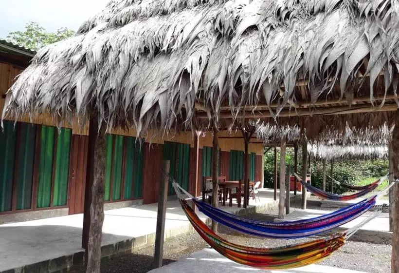 ペンション Jhazmin Aeropuerto