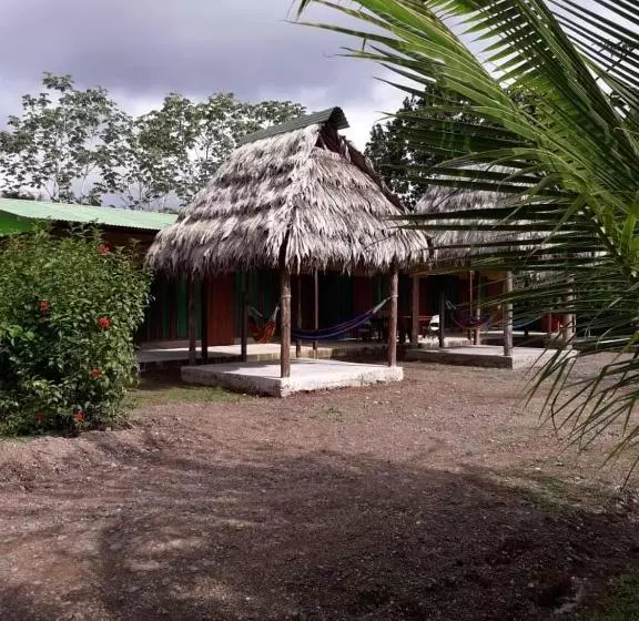 ペンション Jhazmin Aeropuerto