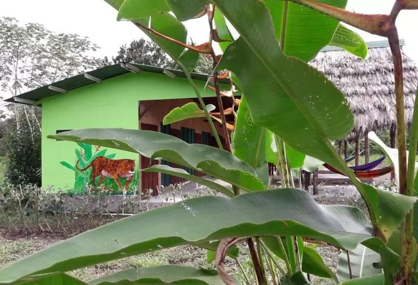 ペンション Jhazmin Aeropuerto