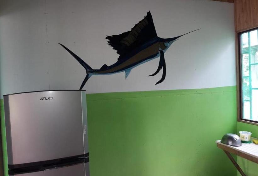 פנסיון Jhazmin Aeropuerto