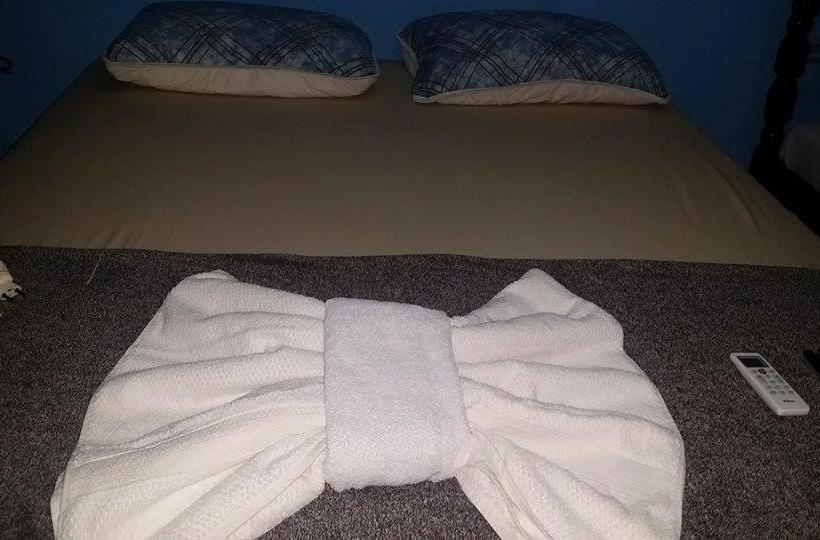 پانسیون Pousada Damasio