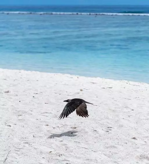 Pension Express Inn At Hulhumale