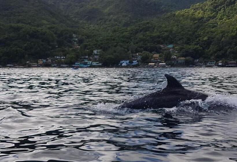 펜션 Suítes Pouso Do Sol