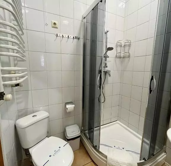 Pensiune Viktan