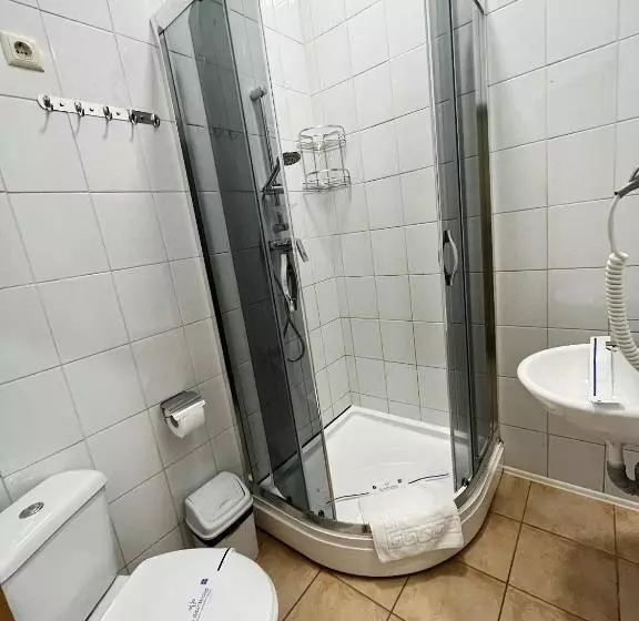 Pensiune Viktan