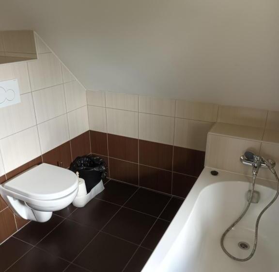 Panzió Vila Pavlínka , Apartmány Losiny