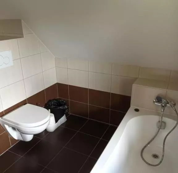 ペンション Vila Pavlínka , Apartmány Losiny