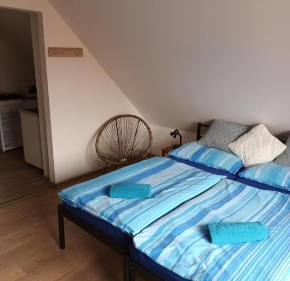 Panzió Vila Pavlínka , Apartmány Losiny