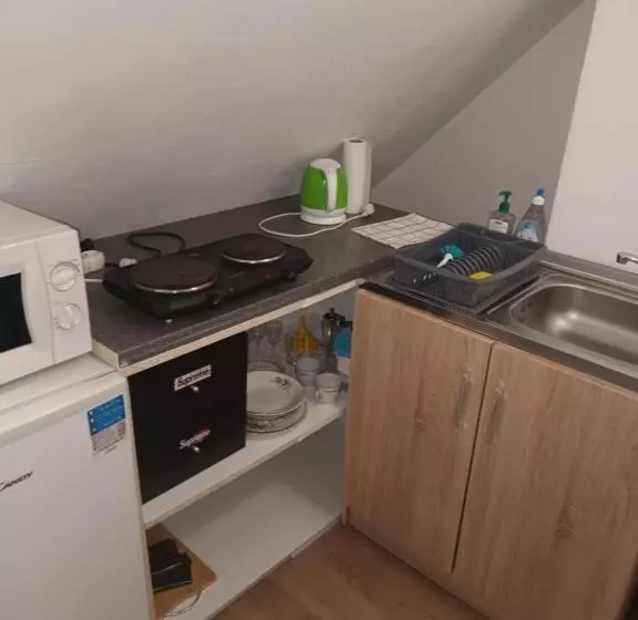 ペンション Vila Pavlínka , Apartmány Losiny