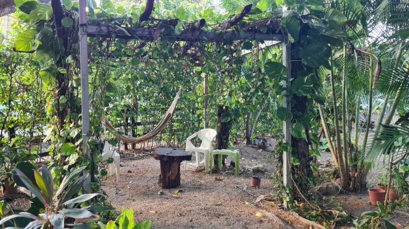 פנסיון Congos Hostal Y Camping