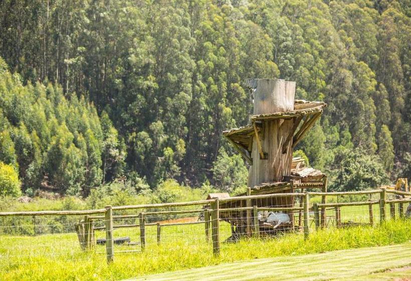 فندق Lavender Trout Guest Farm