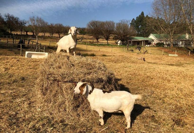 فندق Lavender Trout Guest Farm