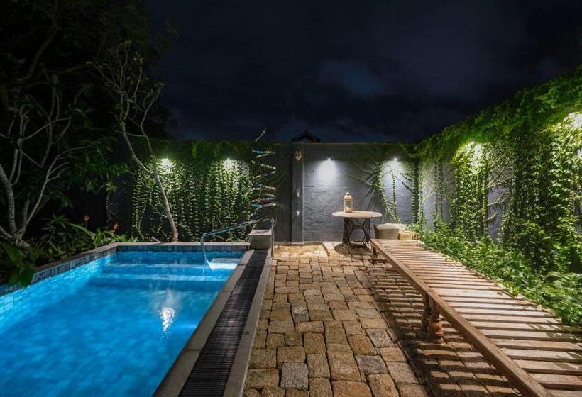 膳宿费 55tg Boutique Suites