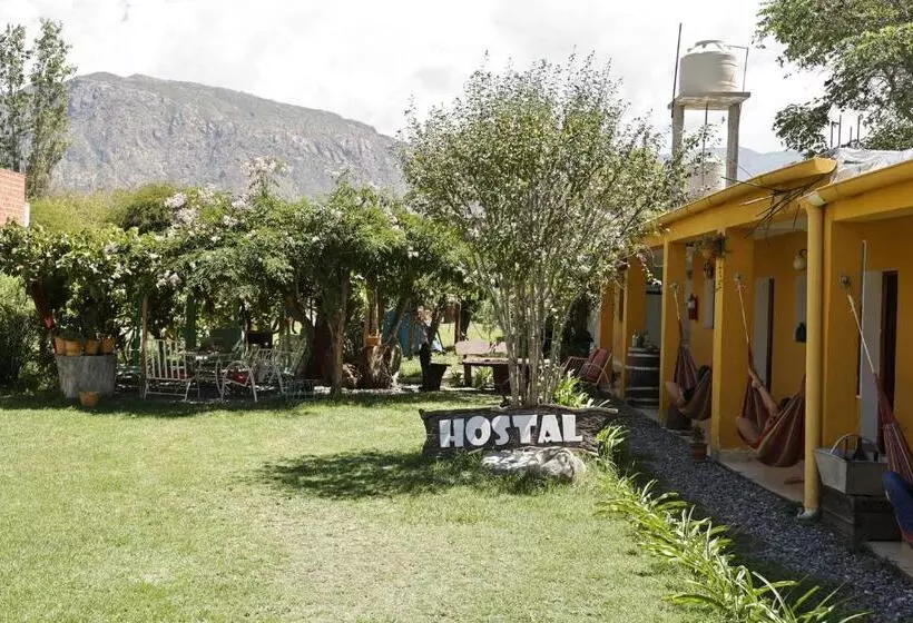 Pension Hostel Lo De Chichi