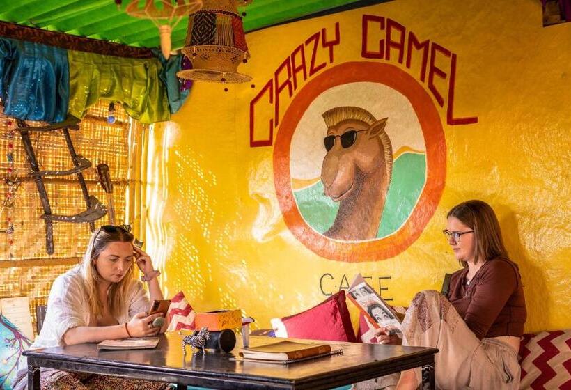 پانسیون Crazy Camel Hotel & Safari