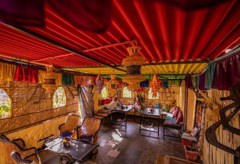 پانسیون Crazy Camel Hotel & Safari